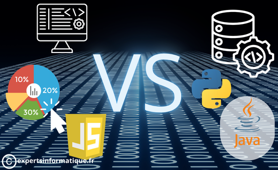 Front-end vs Back-end : Quelle approche pour intégrer des graphiques web ?